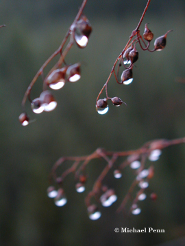 Droplets