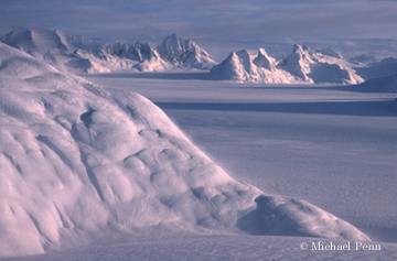 Juneau Icefield