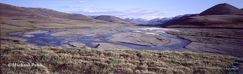 Kongakut River