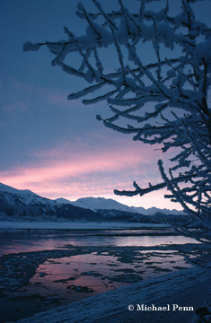 Haines Winter Sunset